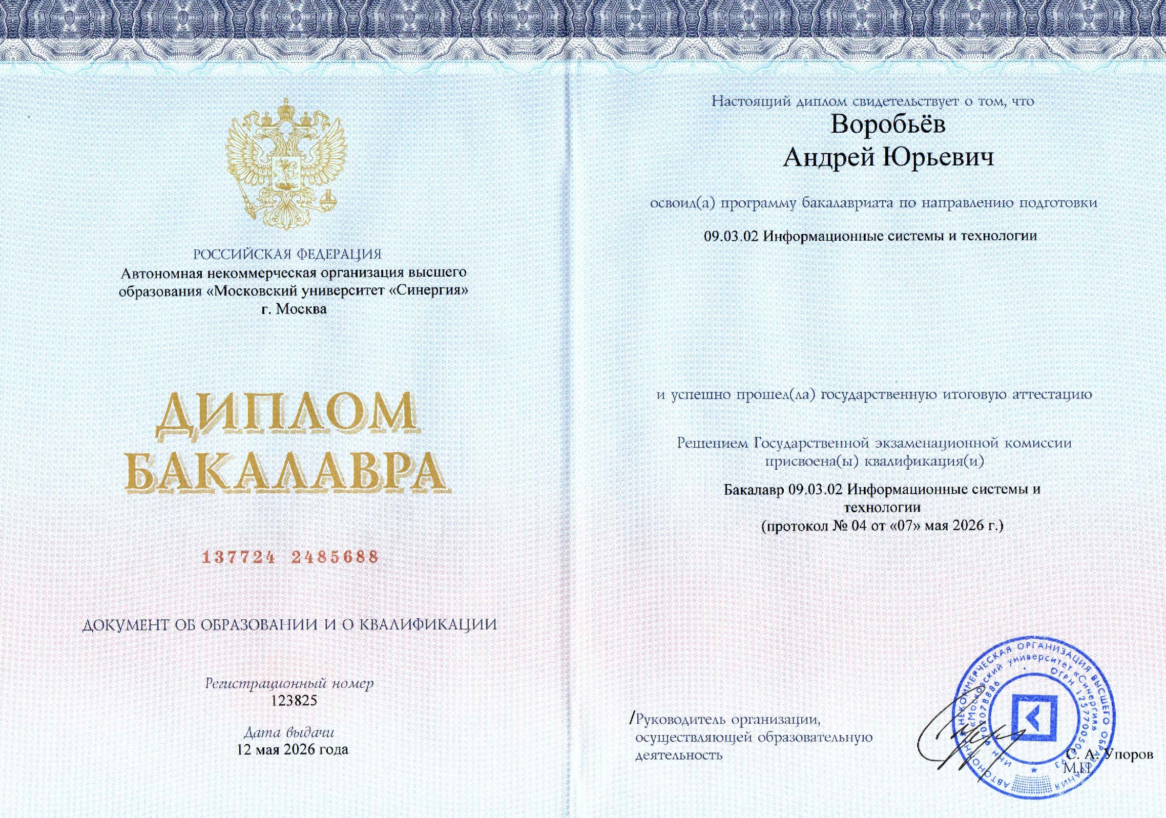 Диплом бакалавра Синергия